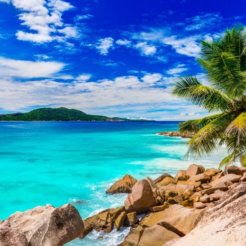 d41dcae607f23ace6a902e9044a11510